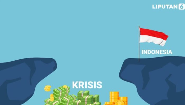 Krisis Ekonomi di Negara Berkembang dan Implikasinya