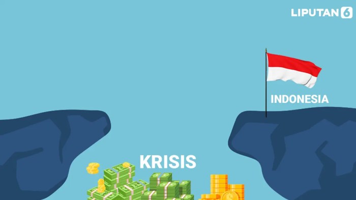 Krisis Ekonomi di Negara Berkembang dan Implikasinya