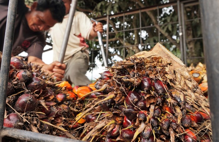 Harga Komoditas Global dan Dampaknya ke Indonesia