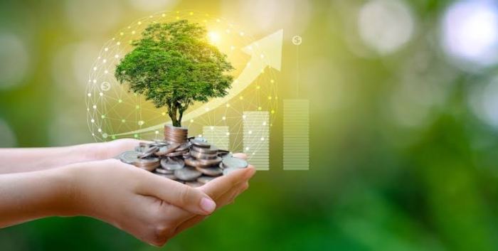 Tren Investasi Berkelanjutan dan ESG