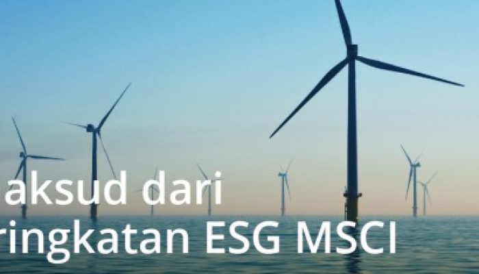 Tren Investasi Berkelanjutan dan ESG yang Meningkat