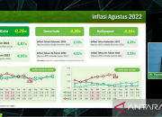 Tren Beli Sekarang Bayar Nanti Picu Kekhawatiran Finansial