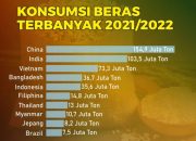 Produksi Beras RI Diprediksi Tembus 34 Juta Ton Tahun Ini