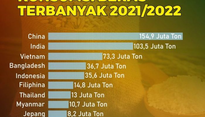 Produksi Beras RI Diprediksi Tembus 34 Juta Ton Tahun Ini