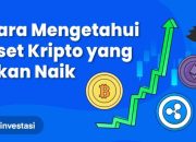 Market Kripto Turun, Ini Sentimen yang Membayangi