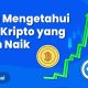 Market Kripto Turun, Ini Sentimen yang Membayangi