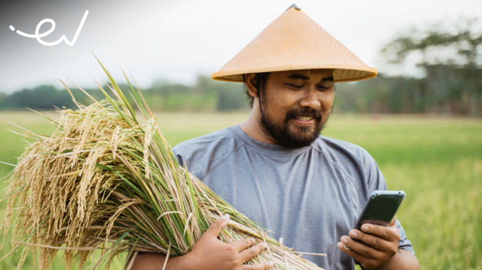The role of fintech lending to Indonesia’s agribusiness sector - East ... Fintech Lending Mulai Masuk Sektor Pertanian