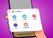 E-wallet Lokal Tembus 100 Juta Pengguna Aktif