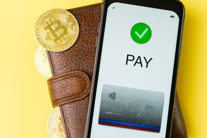 Mengenal E Wallet Serta Cara Kerja dan Jenisnya di Indonesia E-wallet Lokal Tembus 100 Juta Pengguna Aktif