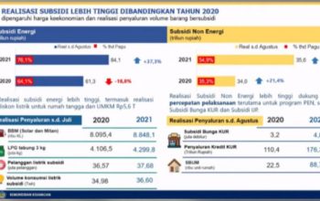 Subsidi Energi Dikaji Ulang, Fokus ke Energi Terbarukan