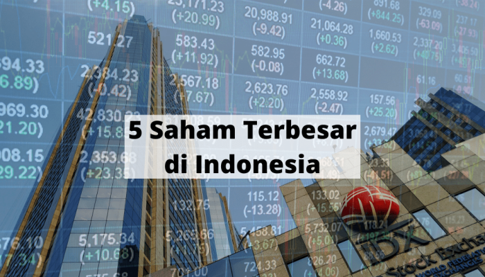 Info Saham Dividen Tinggi Tahun Ini untuk Investor Cerdas