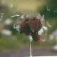 Fenomena Putus Cinta di Bulan September dan Alasan Ilmiahnya