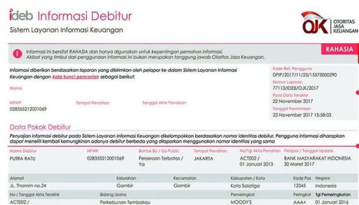 Pengecekan BI Checking-SLIK OJK Bermasalah? Begini Cara Efektif Mengatasinya