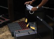 Cek Mudah Penggunaan KTP untuk Pinjol Ilegal