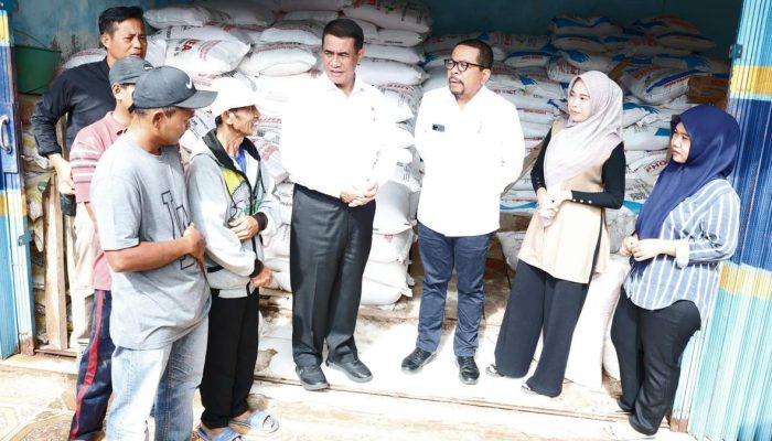 Harga Pupuk Turun Hasil Sidak Mentan Amran Sidik