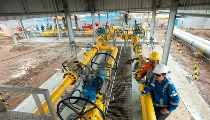 Pengembangan Desa Tertinggal Oleh PGN Selain Bisnis Gas