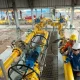 Pengembangan Desa Tertinggal Oleh PGN Selain Bisnis Gas