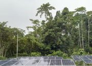 Biaya Listrik di Indonesia Timur 17,5 Kali Lipat Lebih Mahal Dibanding Jakarta