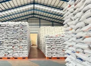 Bangun 100 Gudang Baru, Bulog Targetkan Pendapatan Rp 5 Triliun