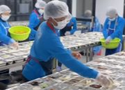 82,9 Juta Orang Target Penerima Program Makan Bergizi Gratis Maret 2026