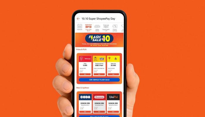 5 Tips Agar Lebih Untung Memanfaatkan Promo Tanggal Kembar