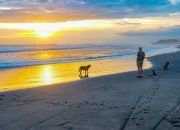Pasut Beach Ketenangan di Pesisir Tabanan dan Keindahan Senja