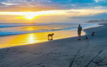 Pasut Beach Ketenangan di Pesisir Tabanan dan Keindahan Senja