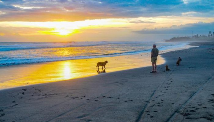 Pasut Beach Ketenangan di Pesisir Tabanan dan Keindahan Senja