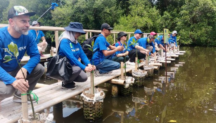 Transformasi TWA Angke Kapuk dari Lahan Rusak Menjadi Hutan Mangrove Penjaga Jakarta Utara