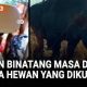 Kebun Binatang Masa Depan Hewan Hidup Bebas Tanpa Dikurung