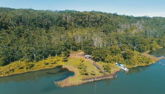 Raksasa China Jual Saham BUMI di Harga Rp 174 Meraup Keuntungan Rp 646 M