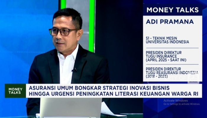Inovasi Asuransi dan Strategi Meningkatkan Literasi Keuangan di Indonesia