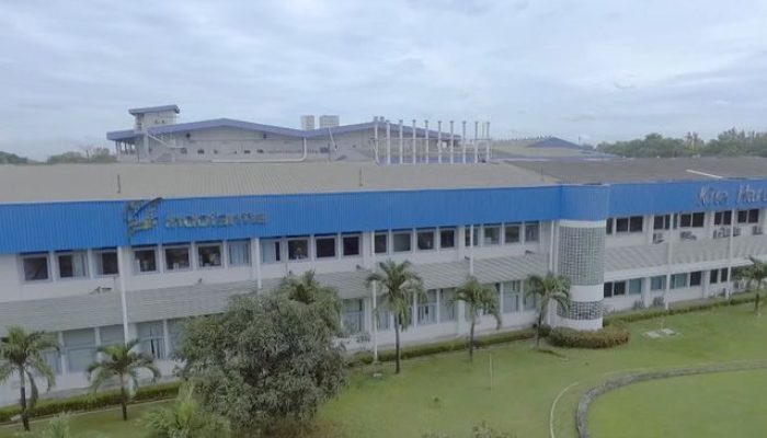 BUMN Raksasa Farmasi RI PHK Hampir 100% dengan Hanya Tersisa 3 Karyawan