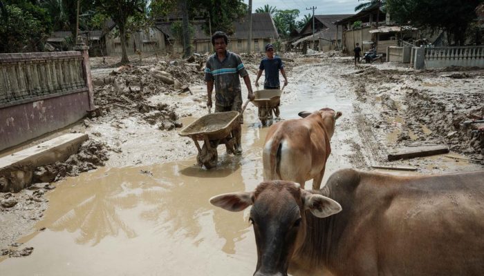 Pemkab Aceh Tamiang Usulkan Lahan untuk Hunian Sementara Korban Bencana menurut BNPB