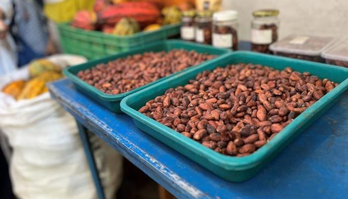 Cuaca Ekstrem Sebabkan Krisis Rantai Pasok Global?