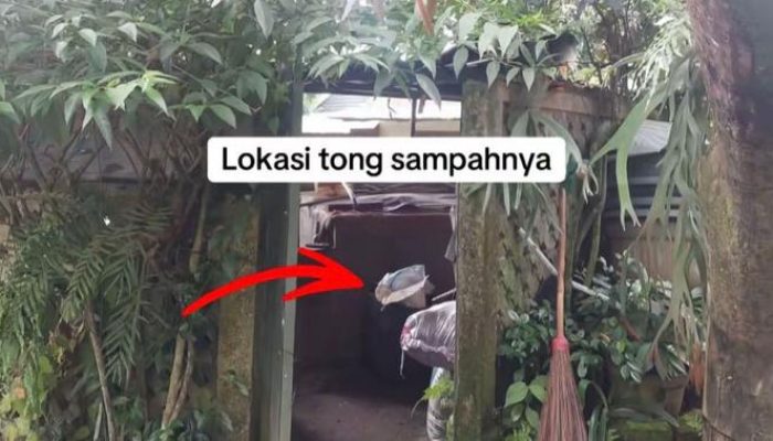 Boikot Kafe Estetis di Bandung Setelah Kucing Dibuang Hidup-hidup ke Tong Sampah