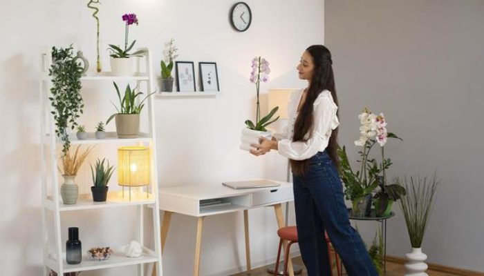 6 Cara Menghias Rumah Menjadi Estetik Tanpa Mengeluarkan Banyak Uang