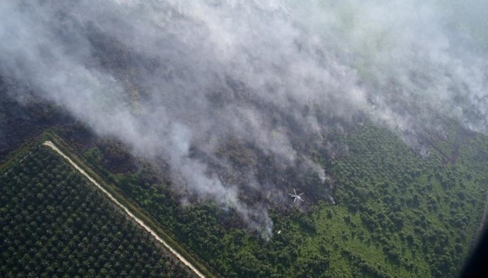 Intensitas Pemadaman Kebakaran Hutan dan Lahan di Riau dan Kepri