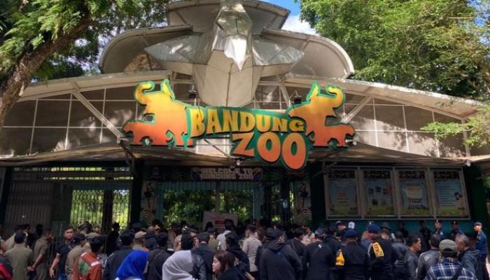 Kemenhut Cabut Izin dan Ambil Alih Perawatan Satwa Kebun Binatang Bandung