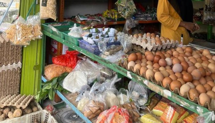 Harga Pangan Meningkat, Ini Penyebabnya